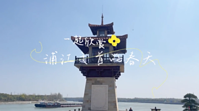 全域旅游 | 浦江之首的春日美景，梨花海下散步，静赏春樱绝色