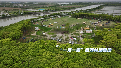 走！露营去，“一月一露”西郊林场营地