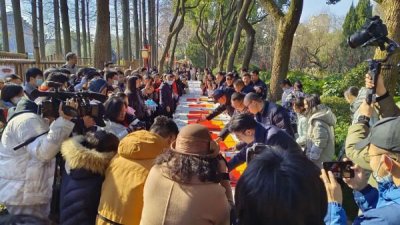 醉白池新春游园会！人生答案开放日！年味版画邀请展！松江本周过年氛围火热！